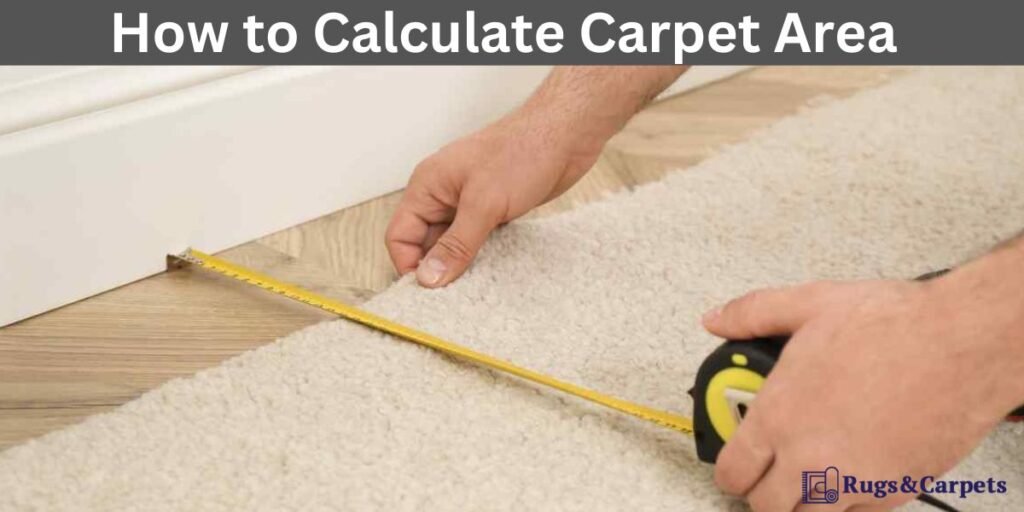 how-to-calculate-carpet-area-2023-guide