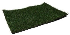 Natural Grass N01
