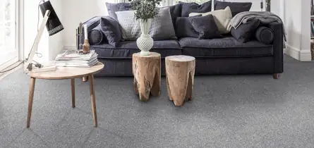 Luxury Grey Carpet