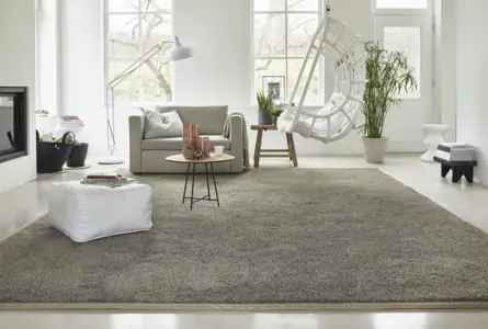 Modern grey Rug