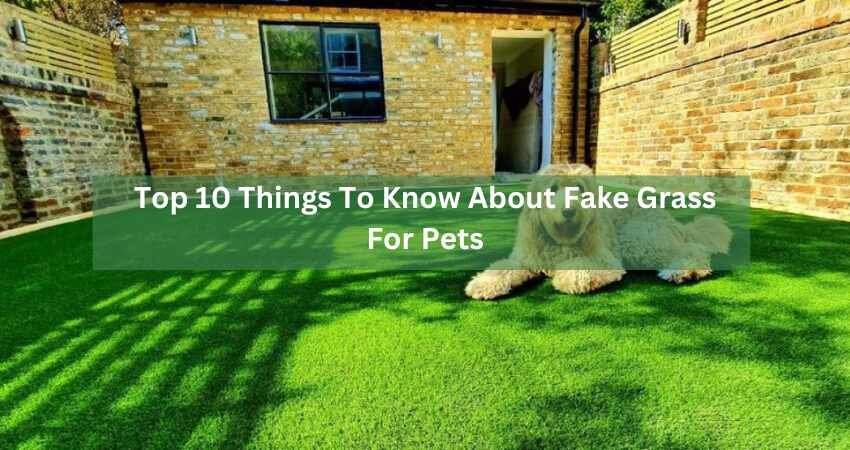 Top 10 Things To Know About Fake Grass For Pets
