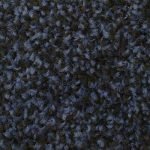 Blue Black Exhibition Carpet