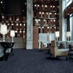 Midnight Carpet