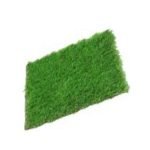 Playground Grass 2