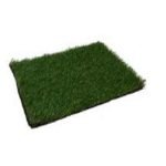 Playground Grass 4
