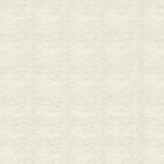 Secret Carpet 2
