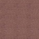Secret Carpet 3