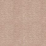 Spiritus Carpet 2