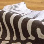 Zebra Print Rug 3