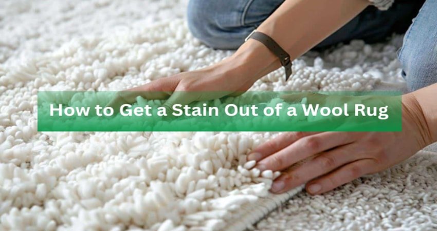 Stain Out of a Wool Rug