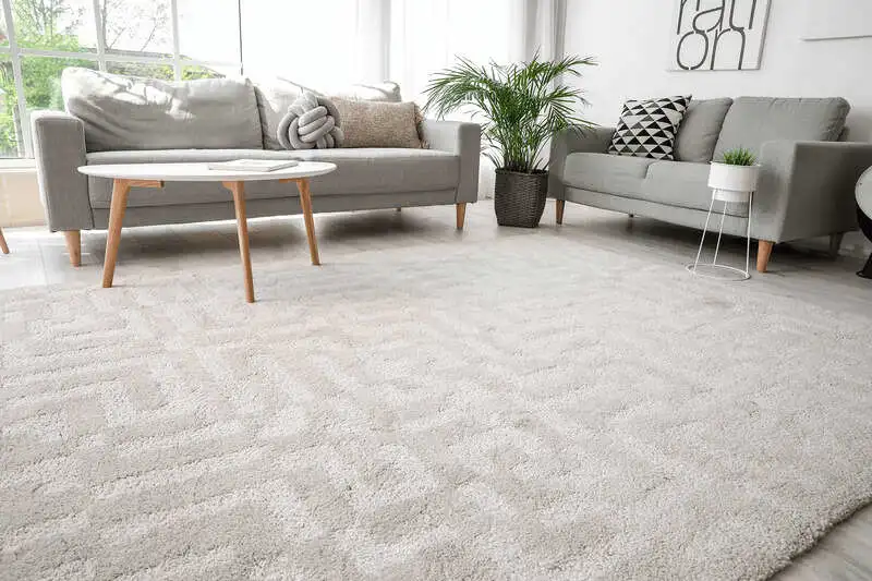 Vast Collection of Home Carpets in Our Store