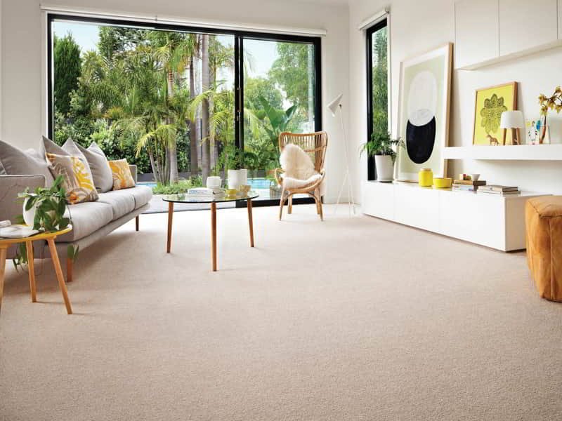 Wall to Wall Carpet Installation