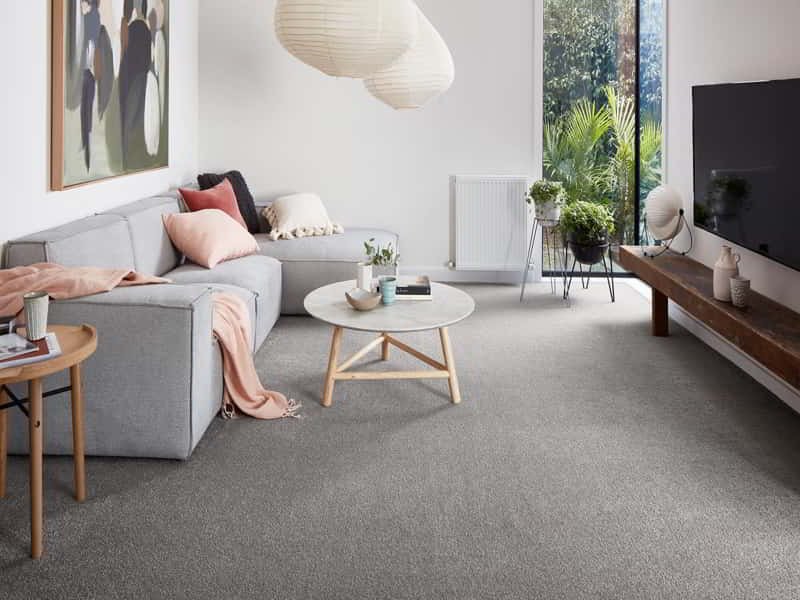 Carpet Installer