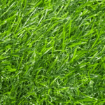 Artificial Grass Dubai