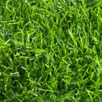 Artificial grass Carpets