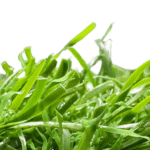 Artificial Grass Dubai